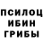 Каннабис гибрид Pasha Kuyan