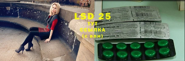2c-b Бородино