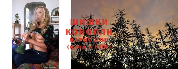 2c-b Бородино