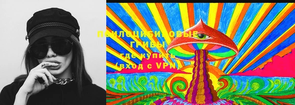 2c-b Бородино