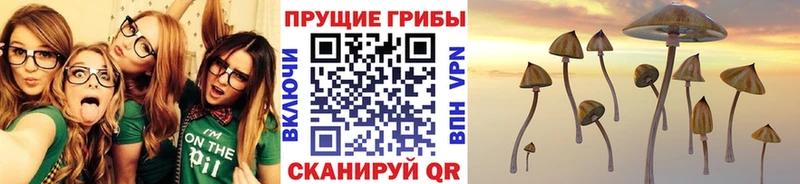 Псилоцибиновые грибы мицелий  Иноземцево 